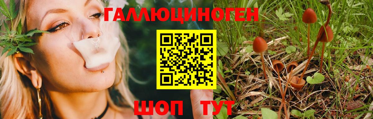 Псилоцибиновые грибы мухоморы Лангепас